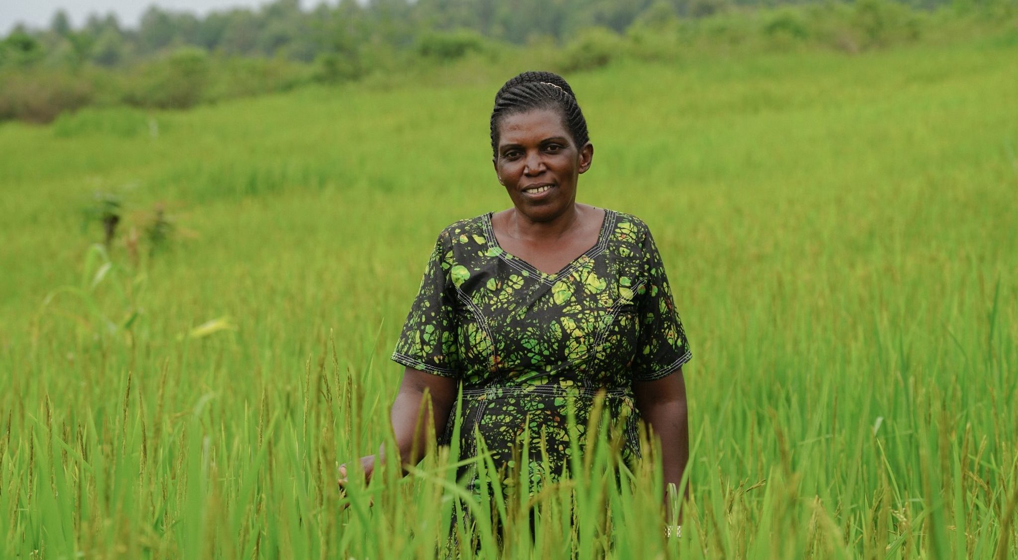 Edith in her almost harvest ready rice garden in Nyarubwimuko Cluster, Rukungiri District.