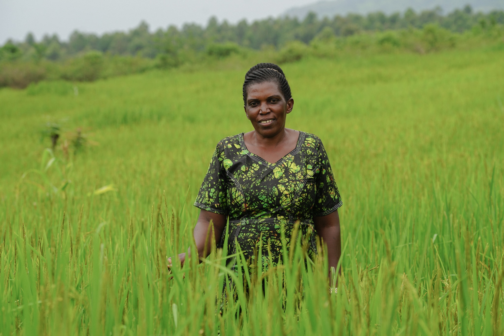 Edith in her almost harvest ready rice garden in Nyarubwimuko Cluster, Rukungiri District.