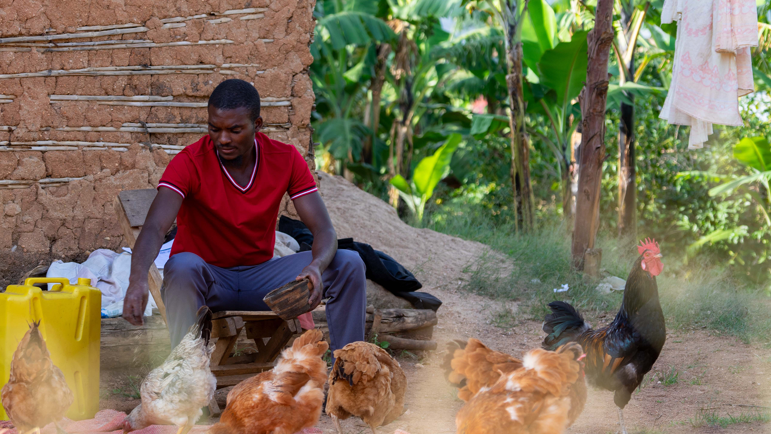 Taddeo, a member of Nyaruhanga Youth Raising The Village VSLA, feeds his chicken in Nyaruhanga village.