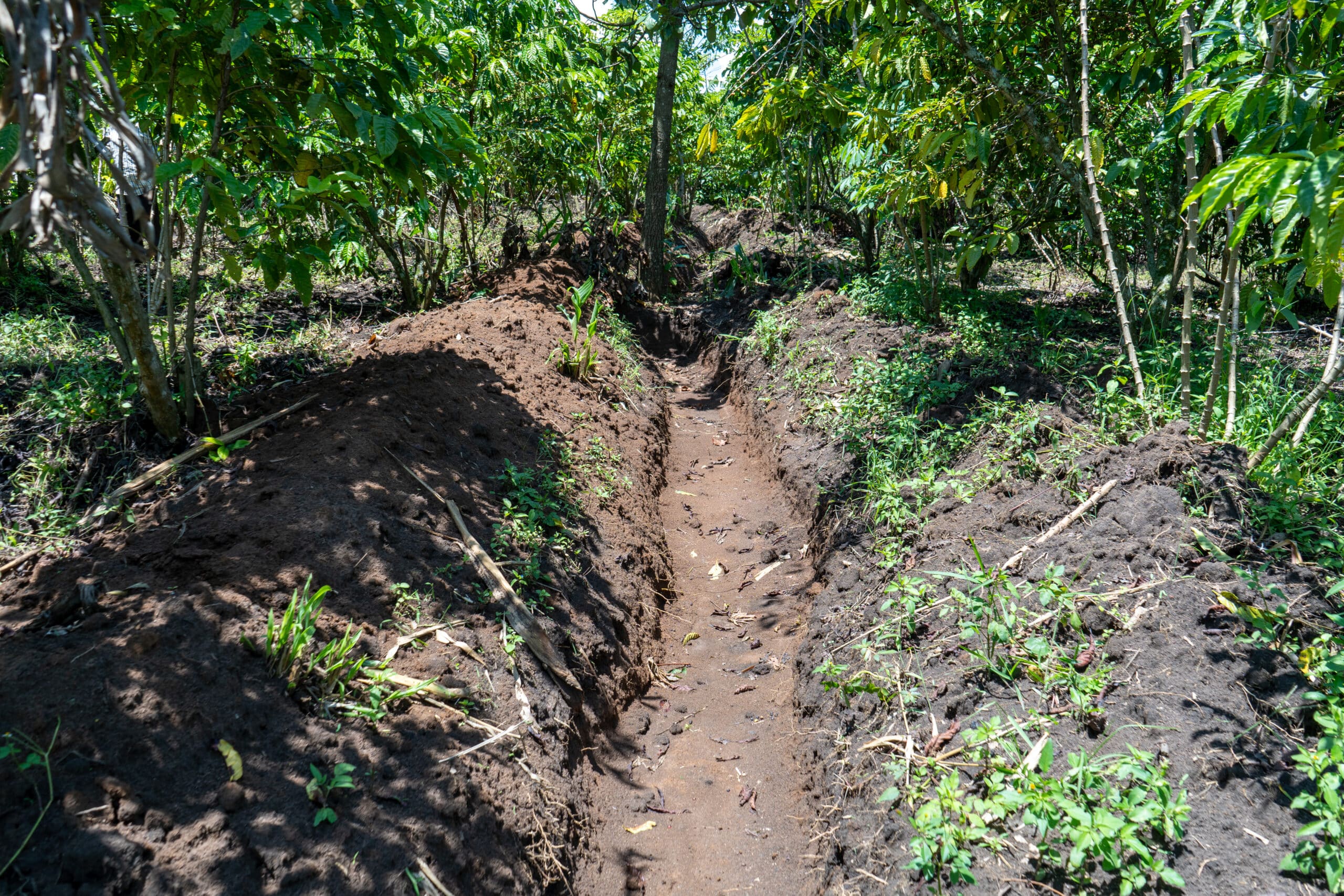 A water retention trench that Christine dug on her farm