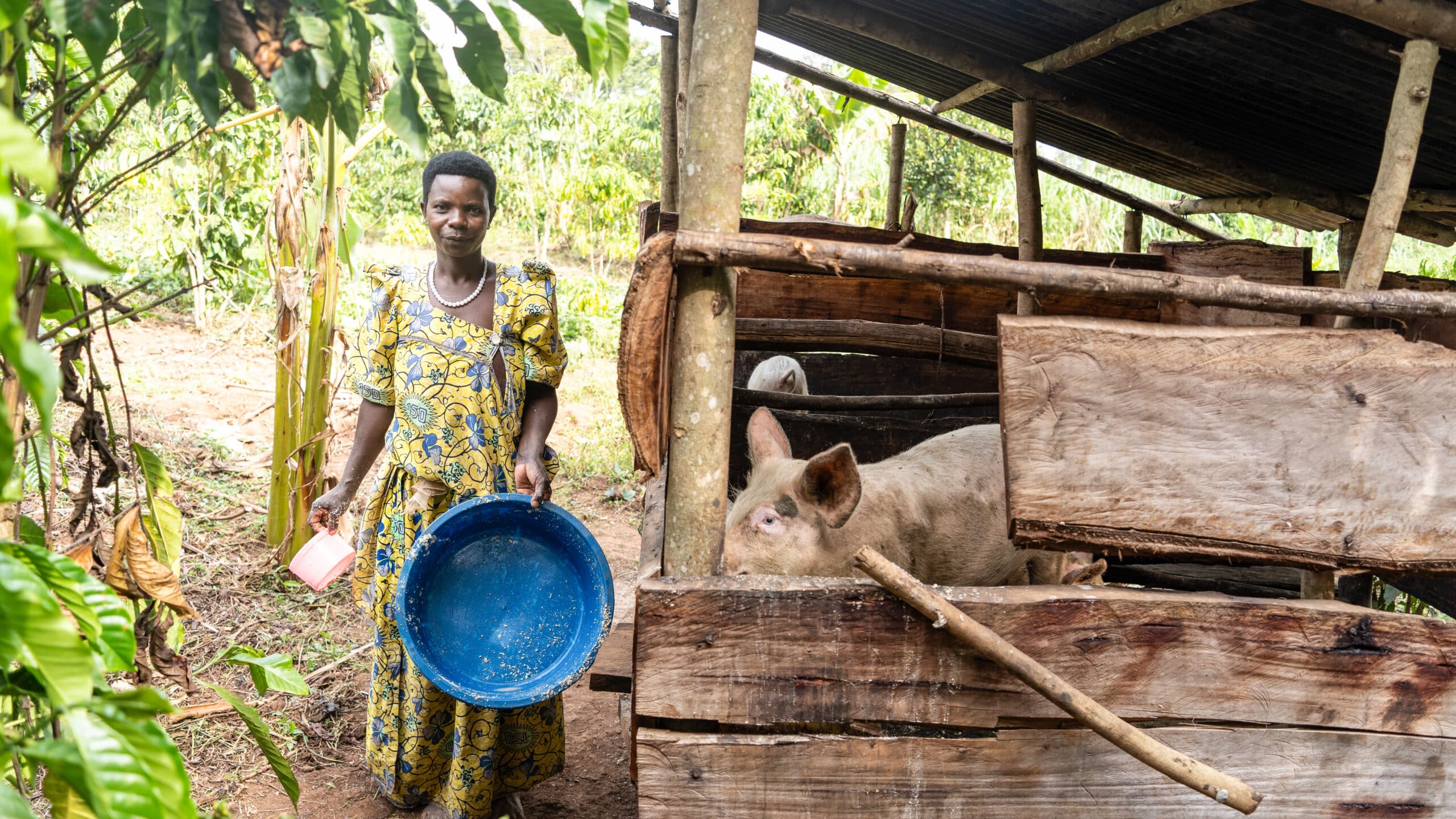 Grace tending to her pigs